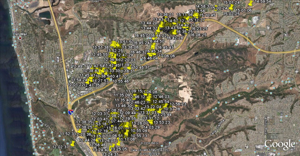 carmel.1.5full.jpg