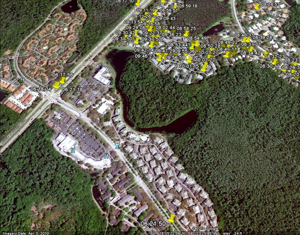 may202010tampapalmsgps15.jpg
